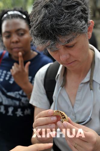 廣西發現早期現代人下頜骨距今11萬年左右