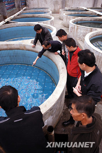 全人工繁殖中華鱘幼鱘“搬新家”