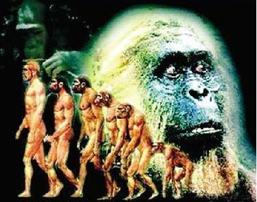 湖北籌建野人考察會探秘 裝攝像頭尋