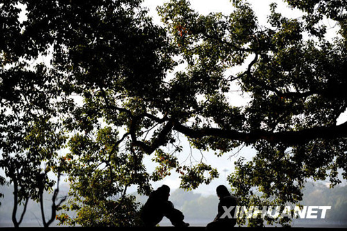 長(zhǎng)沙氣溫驟升 冬暖如春