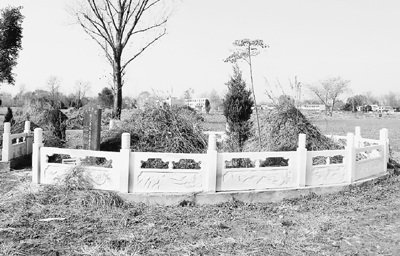 河南南陽出現民眾交錢可土葬現象(圖)