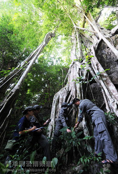 西雙版納全力保護北回歸線唯一綠洲
