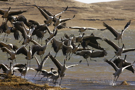 云南大山包的高原凈土