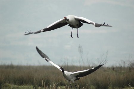 云南大山包的高原凈土
