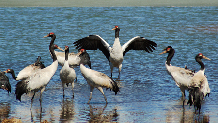 云南大山包的高原凈土