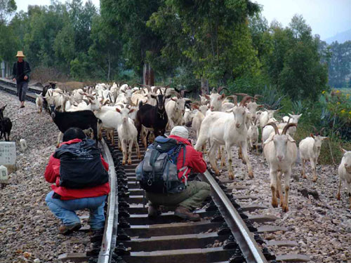 金飛豹日記——“尋訪百年滇越鐵路徒步千里見證歷史”（第6天）