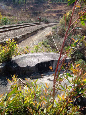 金飛豹日記：火燒滇越鐵路