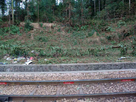 金飛豹日記：火燒滇越鐵路