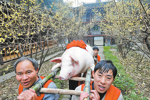 都市人蜂擁北碚靜觀 3天殺了千頭年豬