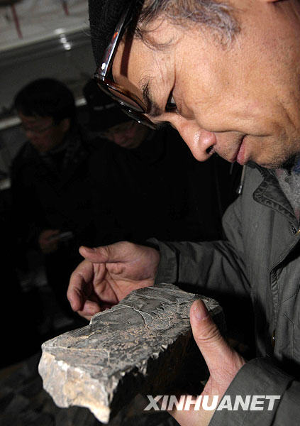 考古專家團在安陽考察“曹操墓”