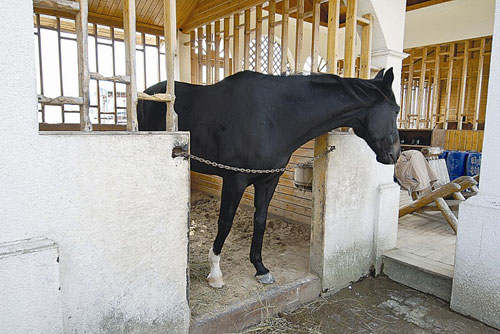 深圳“海上皇宮”面臨拆除 超奢華內景曝光