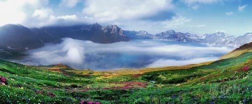 中國攝影金像獎涉嫌剽竊得主遭免職