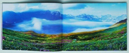 中國攝影金像獎涉嫌剽竊得主遭免職