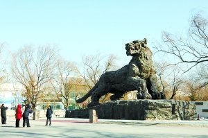 國(guó)內(nèi)最大銅雕老虎將落戶北京動(dòng)物園