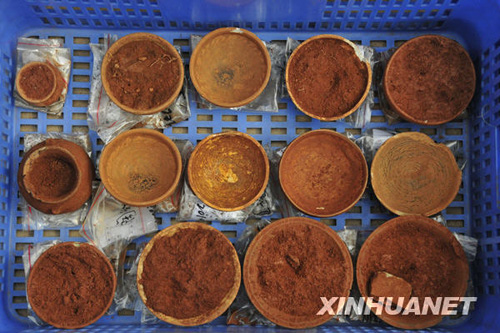 廣州發現大型先秦古墓群