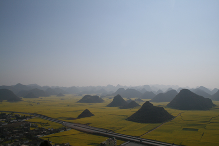 滿城盡鋪黃金花——親歷2010羅平油菜花節