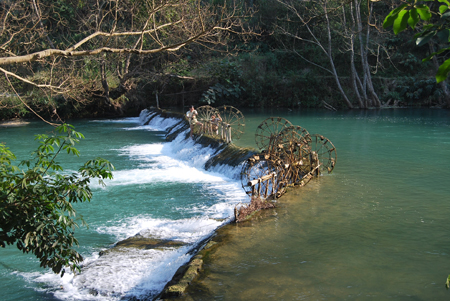 滿城盡鋪黃金花——親歷2010羅平油菜花節(jié)