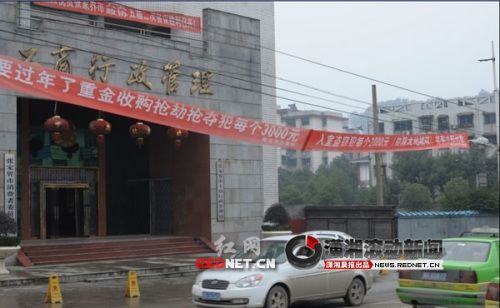 張家界街頭現(xiàn)標(biāo)語(yǔ):重金收購(gòu)嫌犯貨到付款(圖)