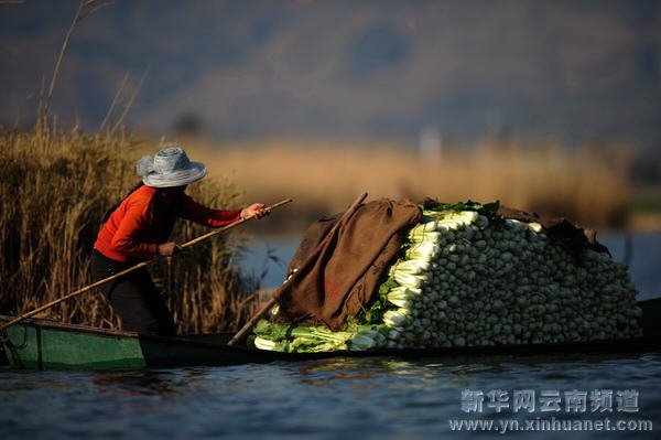 高原水鄉西湖 世外桃源如畫[多圖]