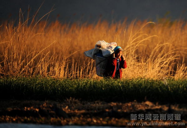 高原水鄉西湖 世外桃源如畫[多圖]