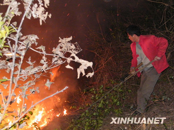 湖南省湘鄉發生森林大火 百畝森林被燒[圖]