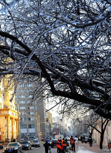 遼寧遭遇10年來最嚴(yán)重凍雨 高速一度封閉