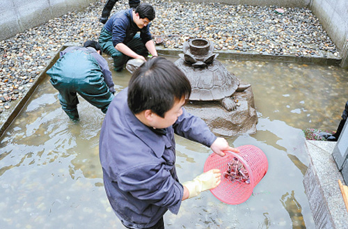 放生池變功德箱 西市工作人員撈出一桶零錢(圖)