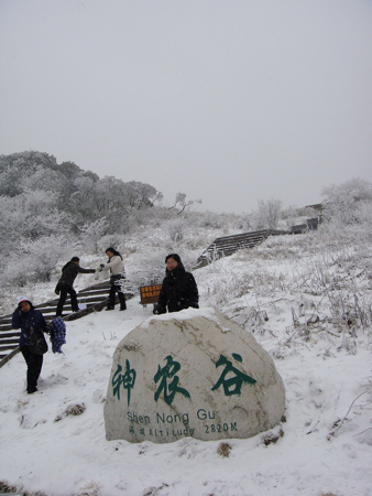 神農架婦女節里喜降桃花雪