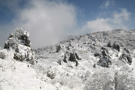 雪后初晴現神農架絕美景致（圖）