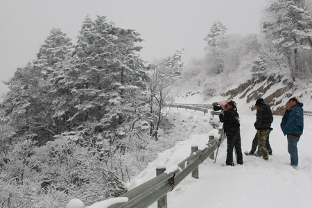 雪后初晴現神農架絕美景致（圖）