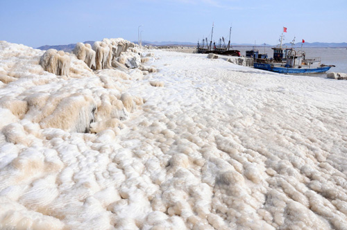 大連海域大風(fēng)卷流冰上岸