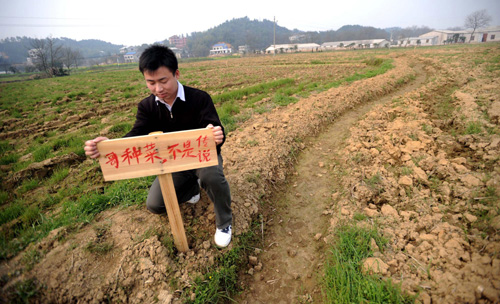 城里人迷上現實版“開心農場”