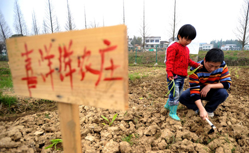 城里人迷上現實版“開心農場”