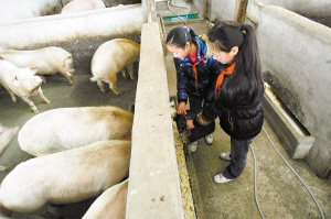 別樣留守生活 明天充滿希望——南川三泉鎮春蕾學校多種形式關愛留守兒童