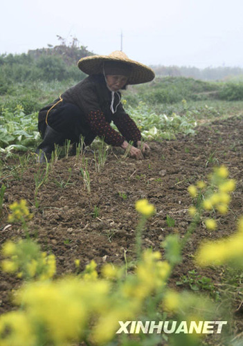 廣西部分旱區喜降春雨