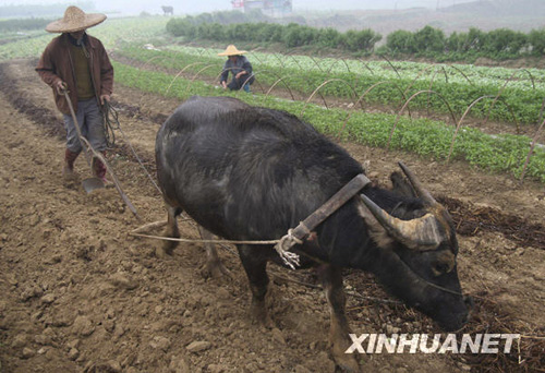 廣西部分旱區喜降春雨