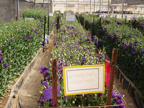 嚴重旱情呼喚節水 發展節水農業迫在眉睫