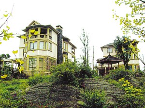 文強(qiáng)受賄名畫經(jīng)鑒定為張大千真跡 約值364萬