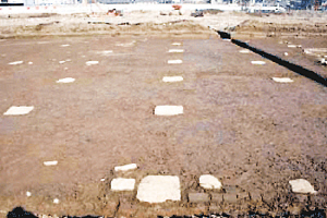 南京王安石家族墓候選全國十大考古新發現