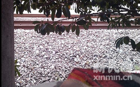 拾荒者今晨進(jìn)入1號(hào)線軌道被撞身亡