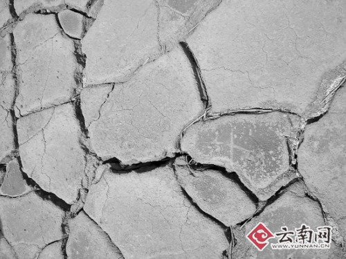云南旱區裂縫能伸手掌 10小時拉趟水急哭村民