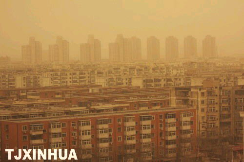 津城盡披黃金甲