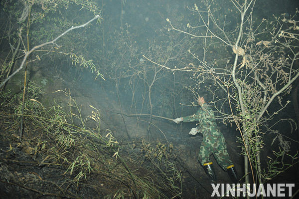 重慶大渡口區(qū)發(fā)生大面積山火