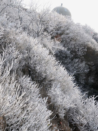 連云港云臺(tái)山出現(xiàn)春季霧凇美景