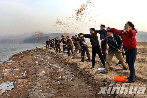 河南：三門峽榮獲“中國大天鵝之鄉”稱號