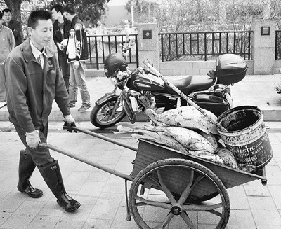 貴陽松溪河遭嚴重污染每天死魚數百斤(組圖)