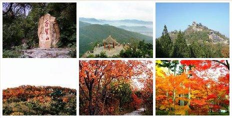 北京十大最怡人踏青出游地推薦(圖)