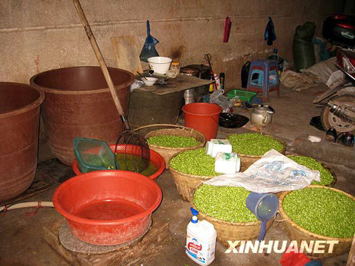 湖南衡陽發現并銷毀“染色豆”