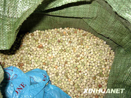 湖南衡陽發現并銷毀“染色豆”