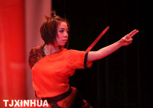 天津：大學生武術隊出訪波蘭、德國